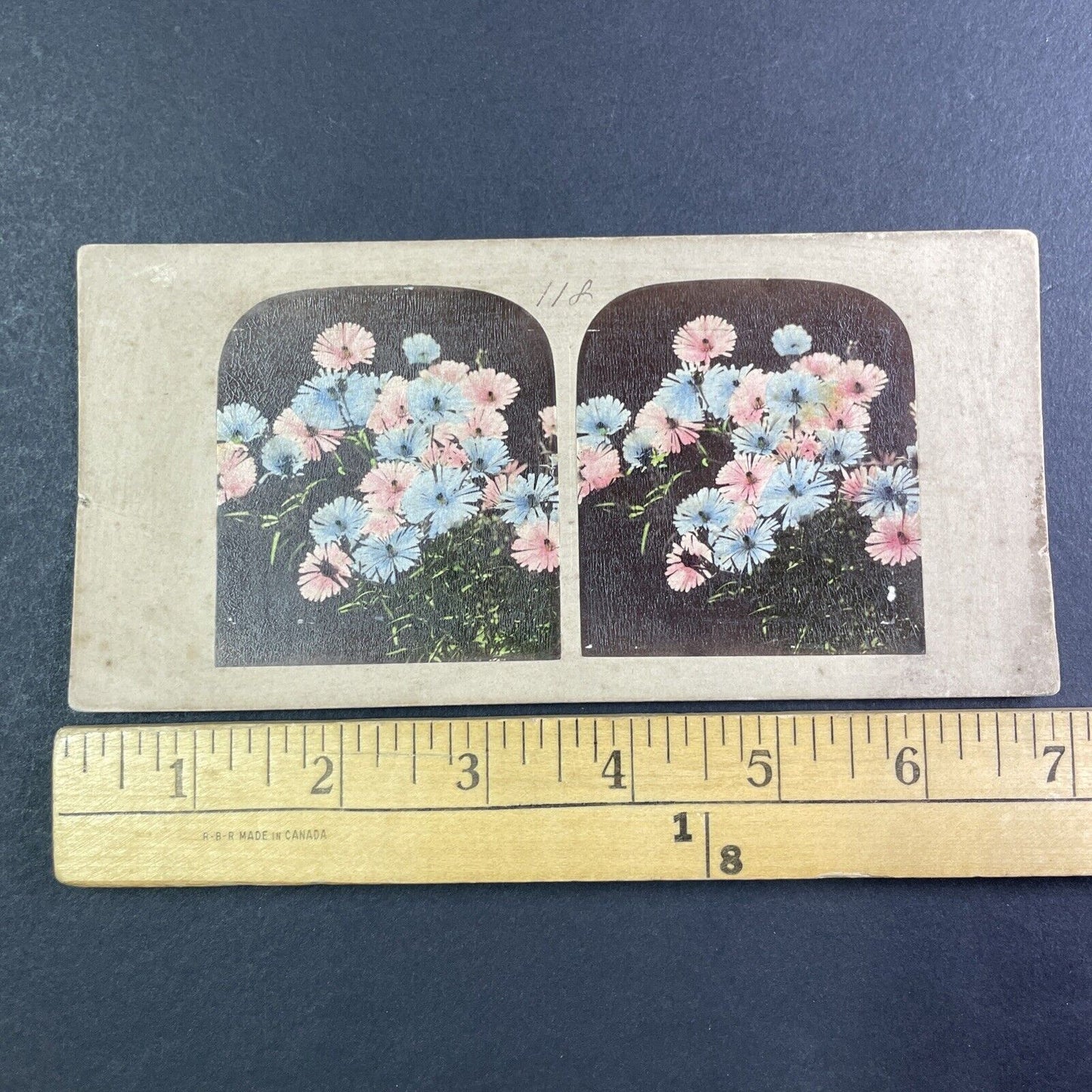 Hand-Colored Flowers Stereoview attributed to James Robinson Antique c1859 Y1383