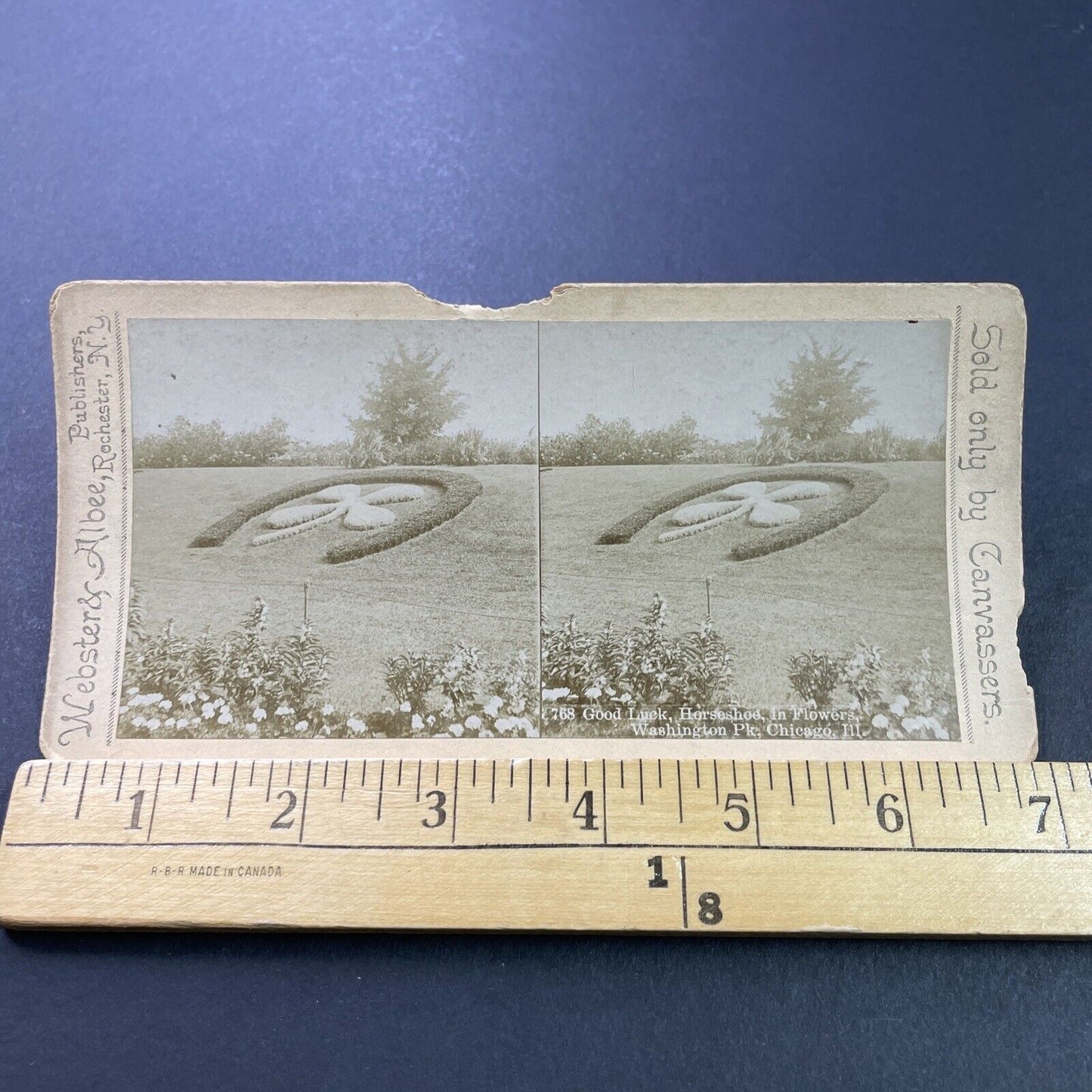 Antique 1890s Four Leaf Clover Of Flowers Chicago Stereoview Photo Card P3927