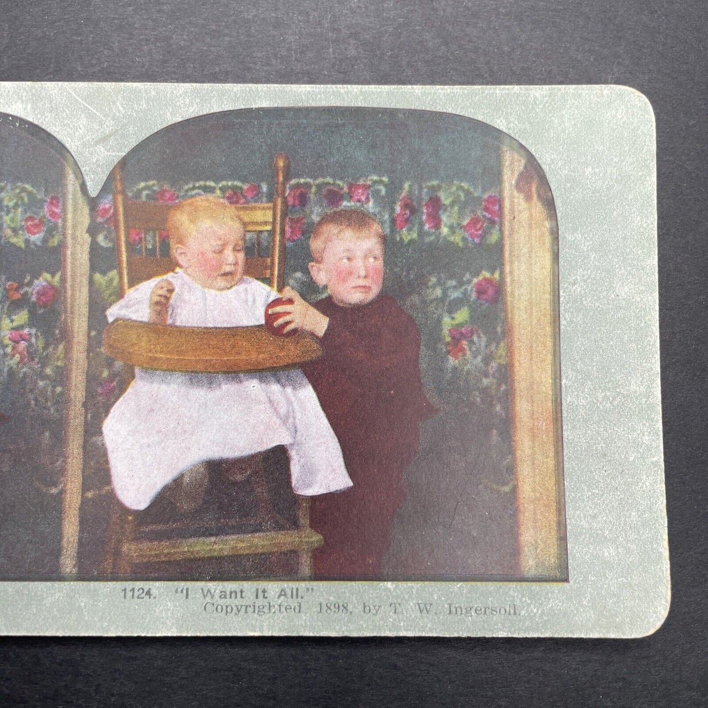 Antique 1898 Baby And Toddler Fighting Over An Apple Stereoview Photo Card P1135