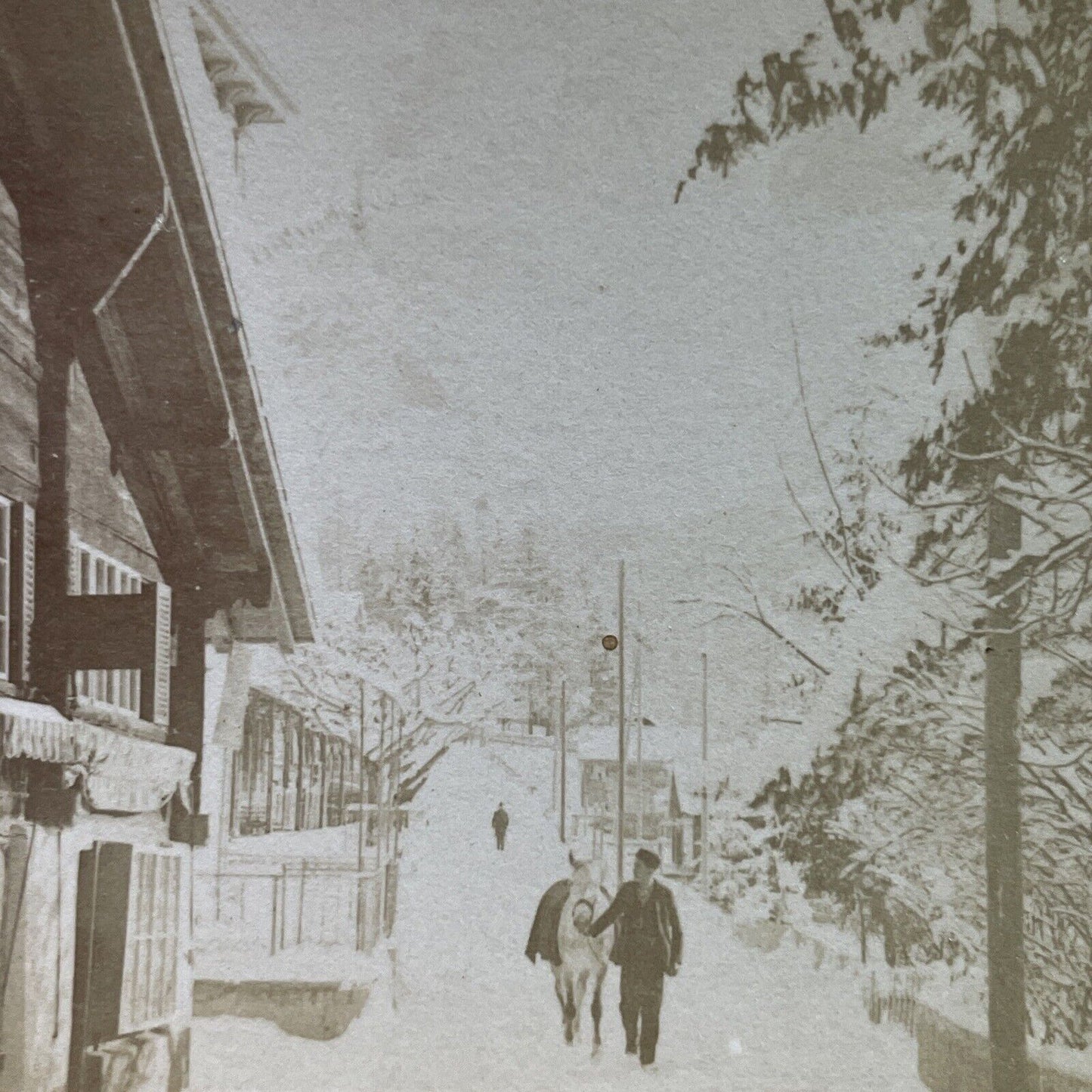 Antique 1901 Snowstorm In Grindelwald Switzerland Stereoview Photo Card P3914