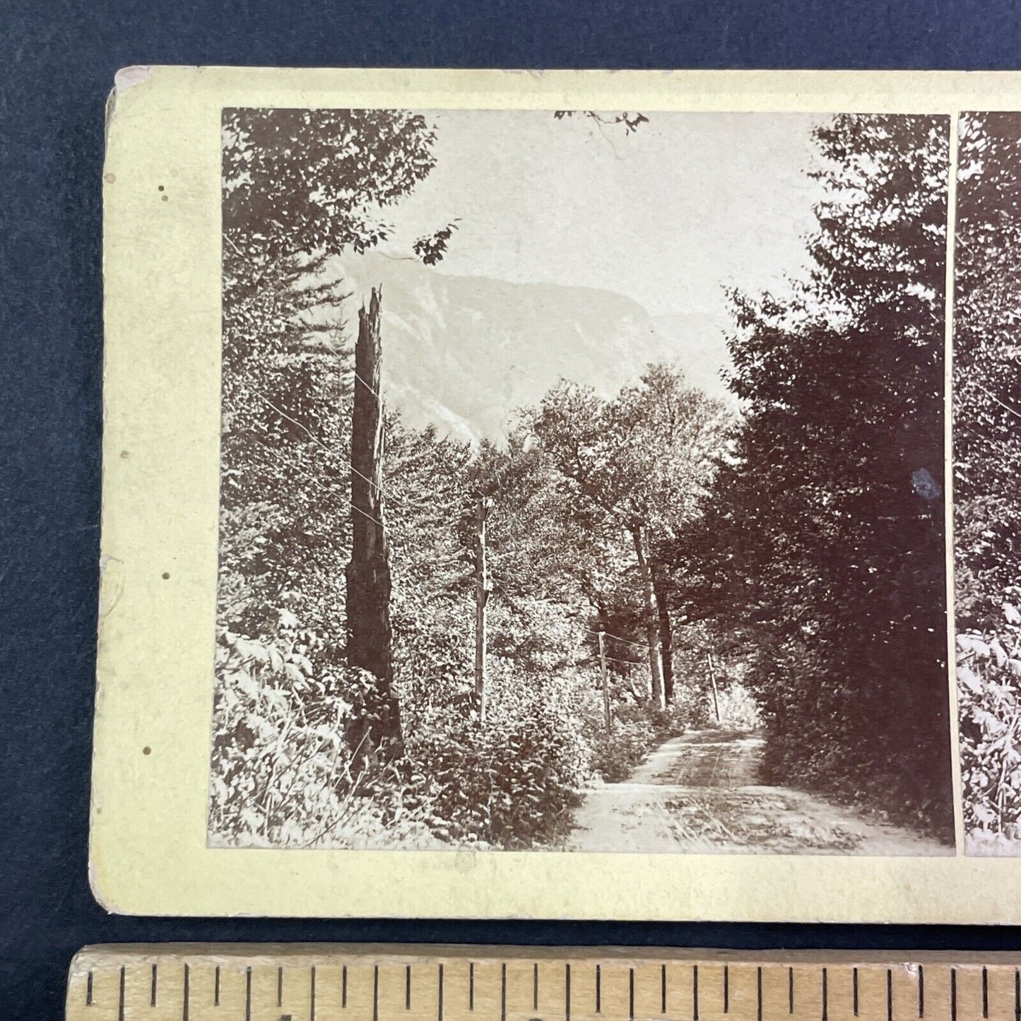 Carriage Road To The Profile House Stereoview New Hampshire Antique c1870s Y903