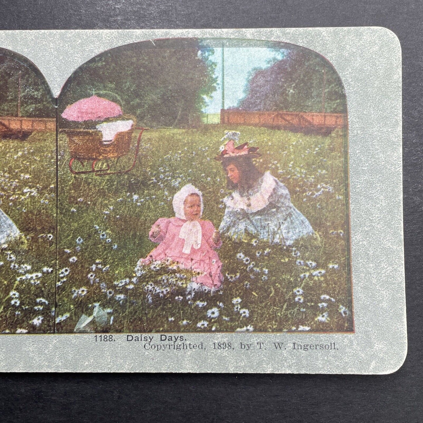 Antique 1898 Children Picking Daisies In A Field Stereoview Photo Card P1214