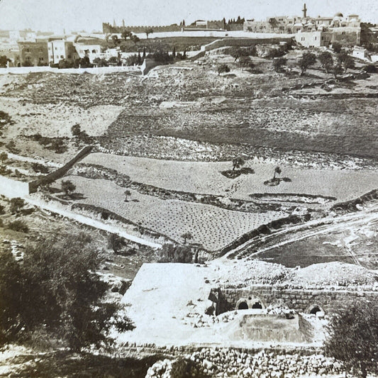 Antique 1900 City Of Jerusalem Israel Palestine Stereoview Photo Card P2173