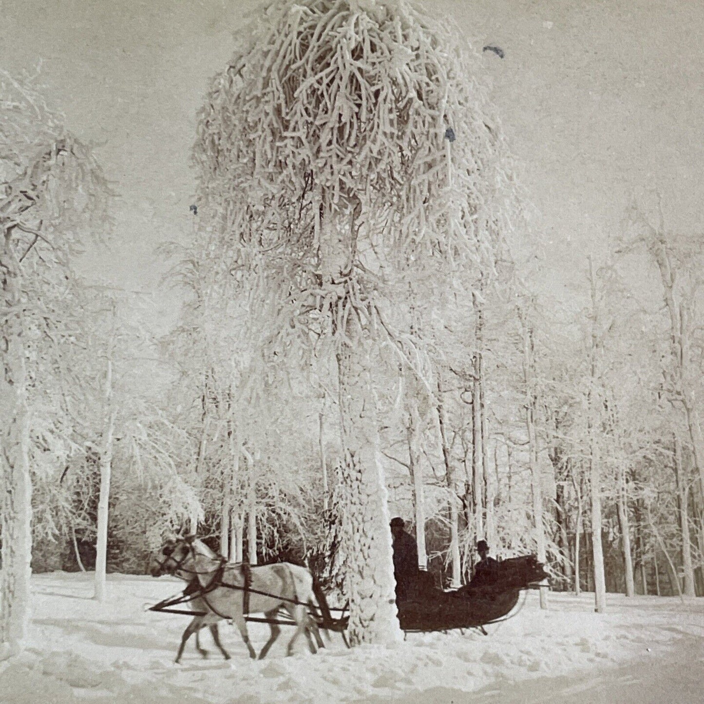 Niagara Falls Christmas Sleigh Ride Stereoview B.W. Kilburn Antique c1891 Y2124