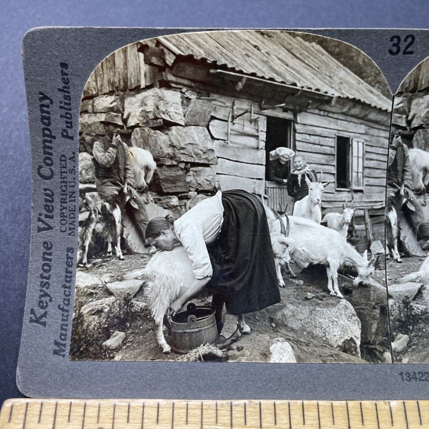 Antique 1910s Young Woman Milking Goat Norway Stereoview Photo Card P2778