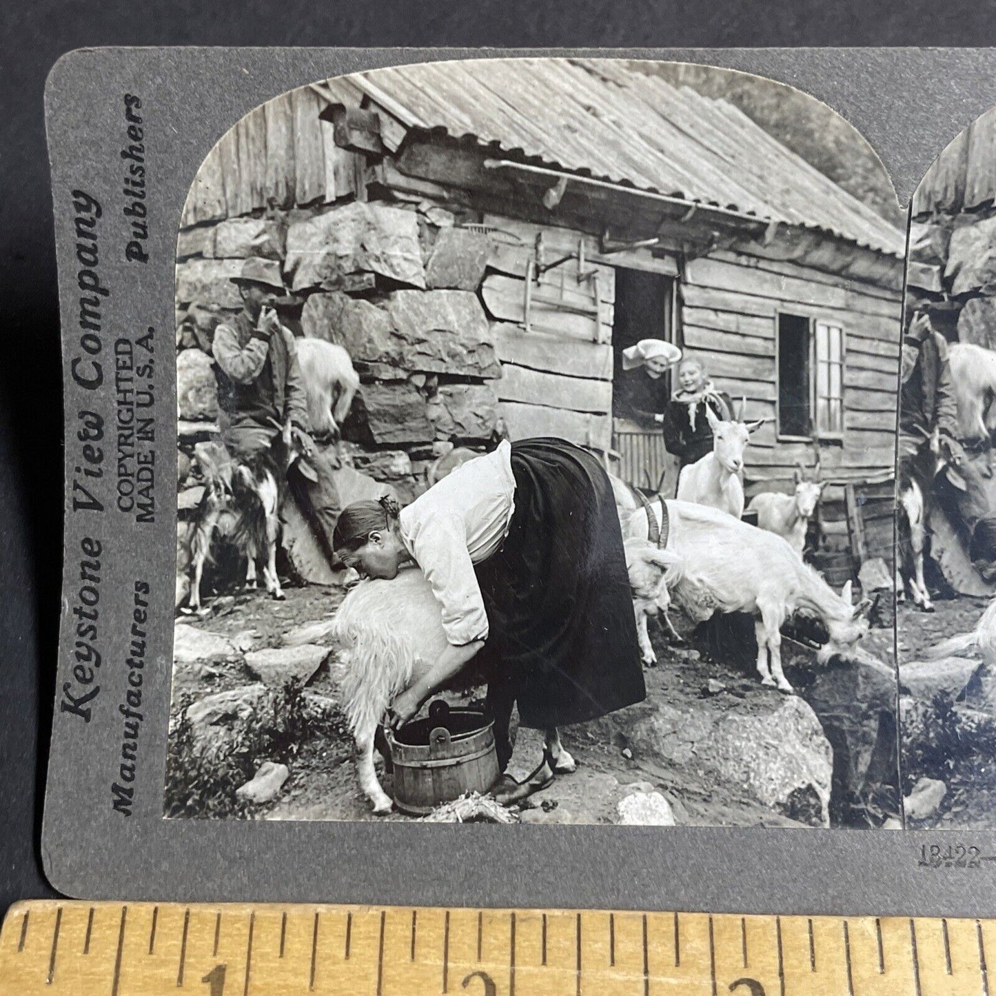 Antique 1909 Norwegian Woman Milking A Goat Norway Stereoview Photo Card P4256