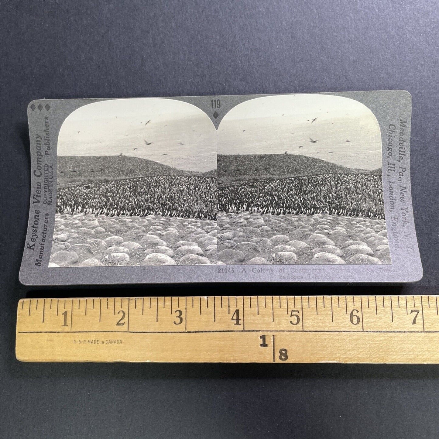 Antique 1918 Pescadores Island Gallinazo Peru Stereoview Photo Card P1565