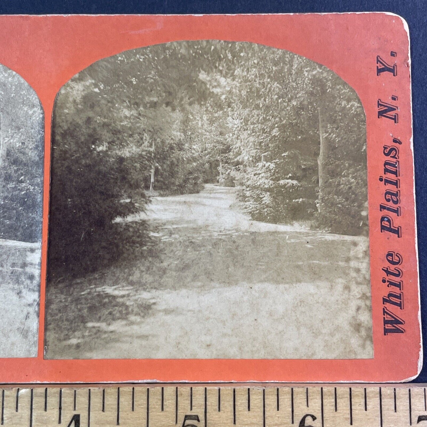 White Plains New York Stereoview Cranberry Lake WP Maynard Antique c1863 X1570