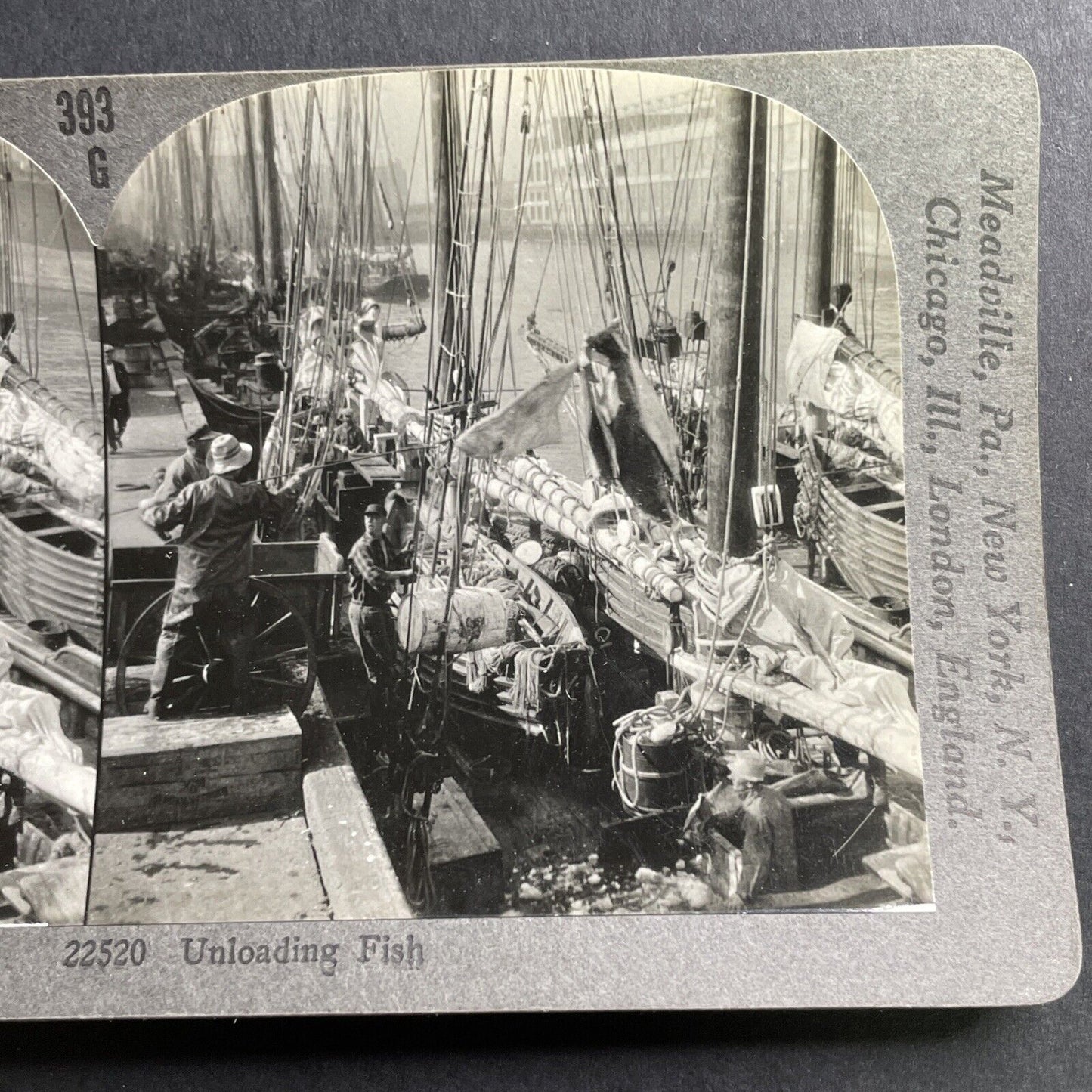 Antique 1906 Unloading Fish In Boston Harbor Stereoview Photo Card P1610