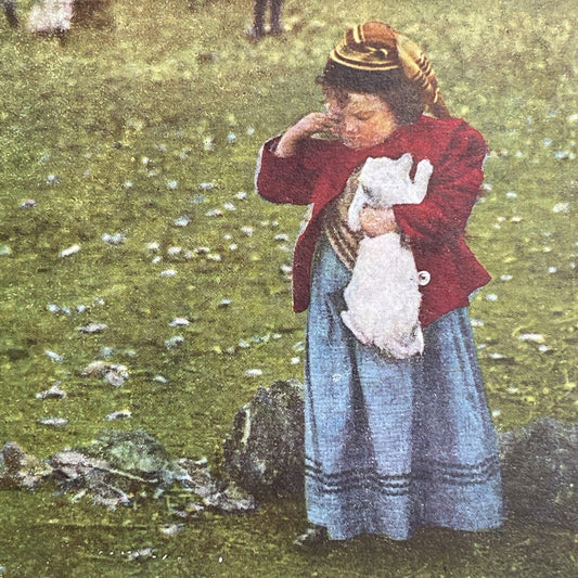 Antique 1892 Cat Scratches Child's Face Stereoview Photo Card P1222