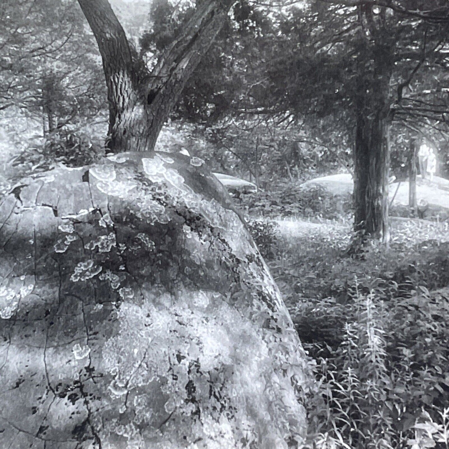 The Devil's Den Civil War Battleground Stereoview Gettysburg c1920s Y988