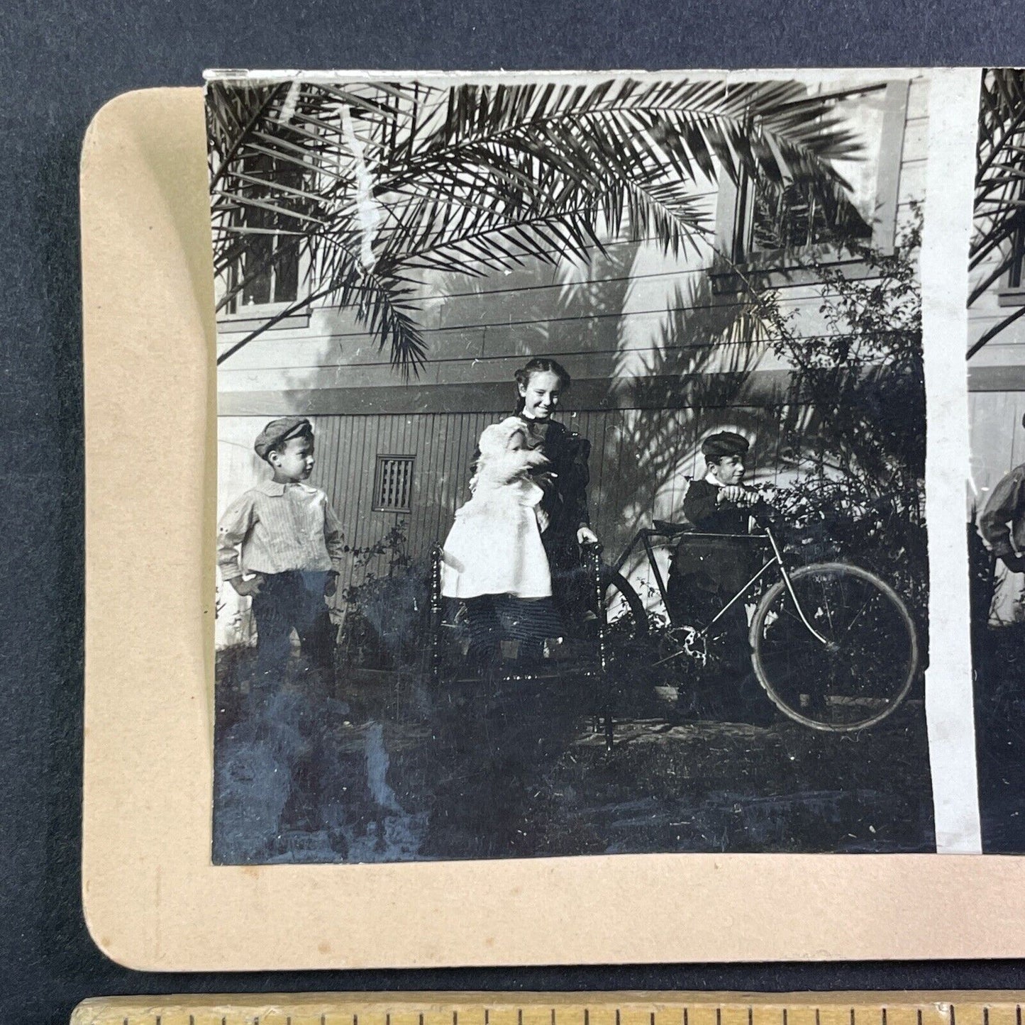 Children Receive New Bicycle Florida Stereoview Celluloid Antique c1905 Y165