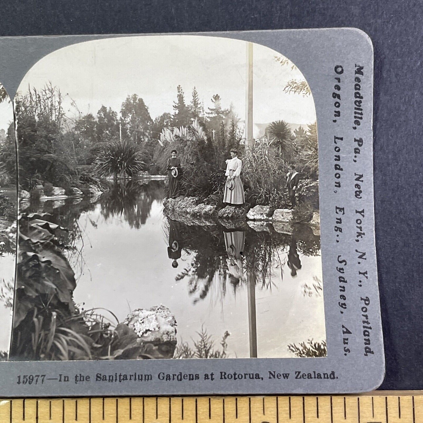 Rotorua North Island New Zealand Stereoview Public Gardens Antique c1911 X3538