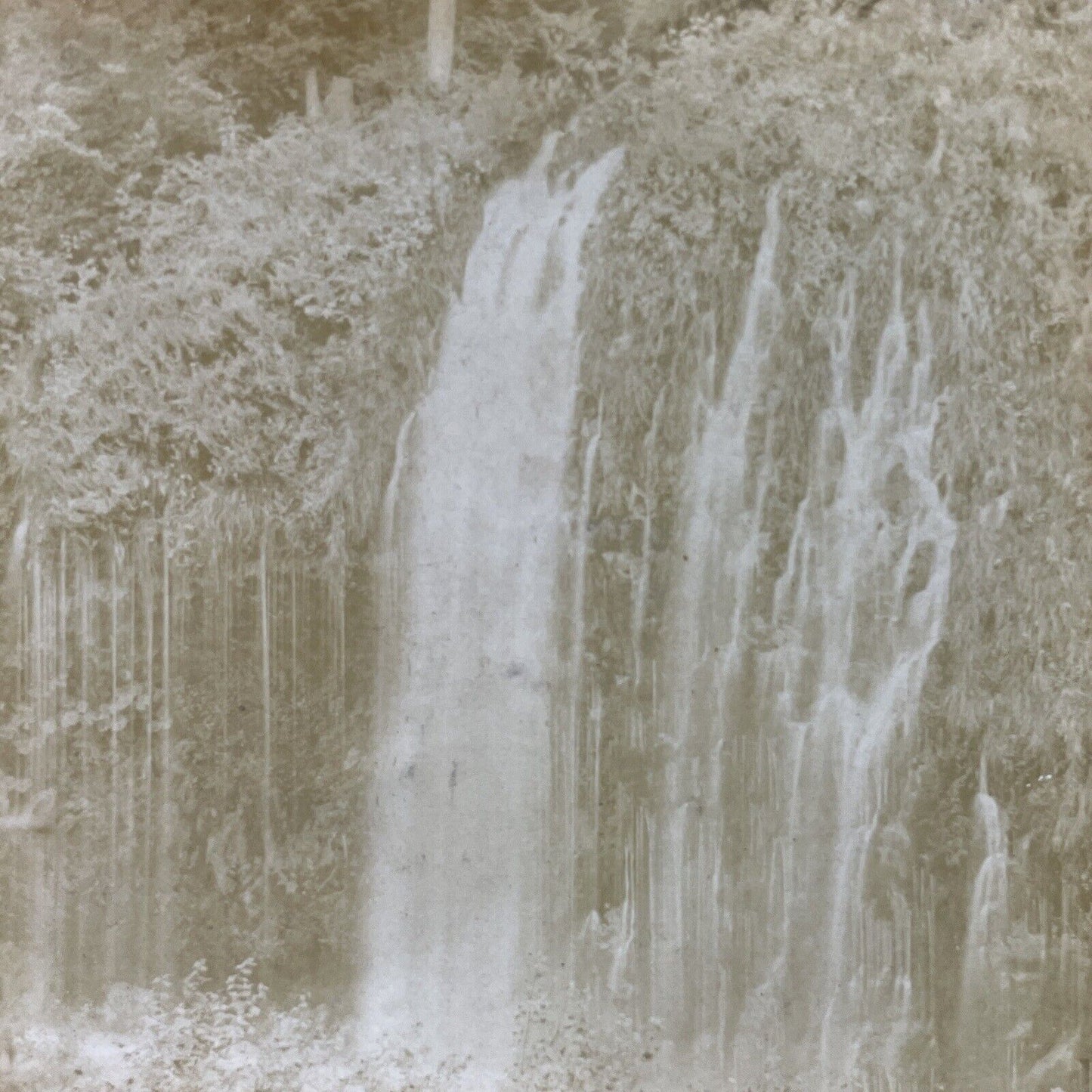 Antique 1903 Mossbrae Falls Shasta Springs California Stereoview Photo Card 3329