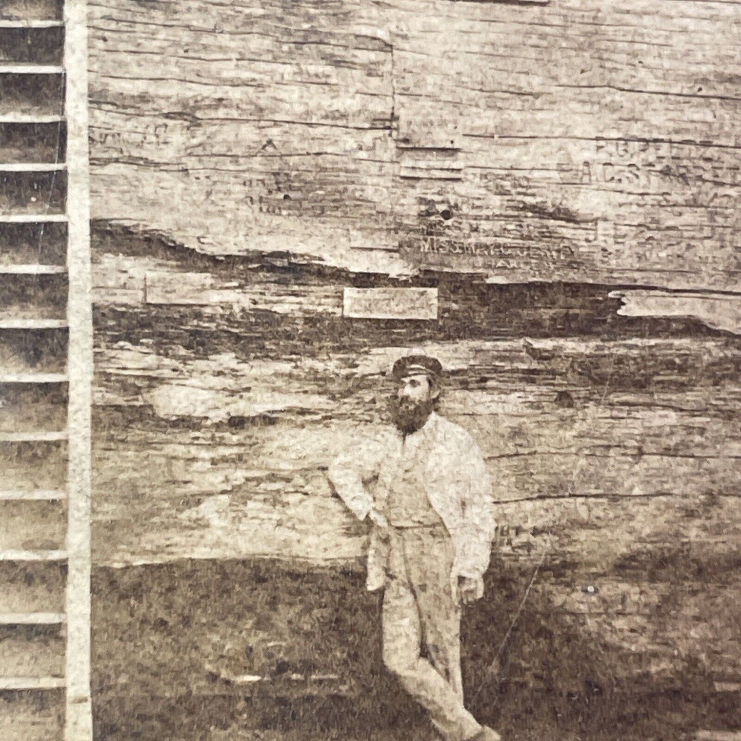 Edward Anthony Self-Portrait At Discovery Tree Arnold CA Stereoview c1870s Y034