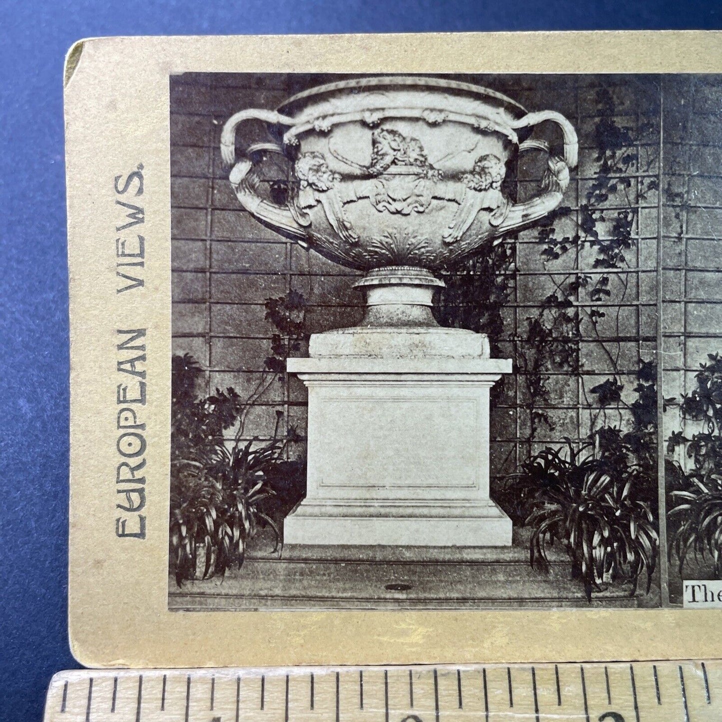 Antique 1870s The Warwick Vase Roman Marble Stereoview Photo Card P3299