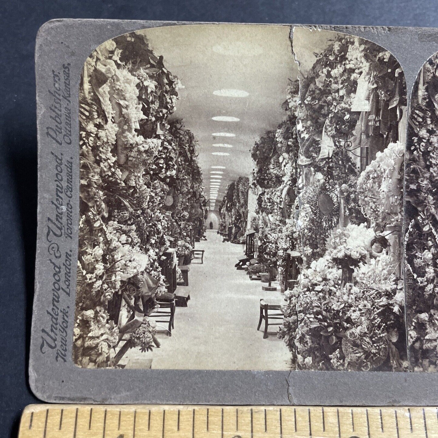 Antique 1901 Black Plague Catacombs Brussels Belgium Stereoview Photo Card P5160