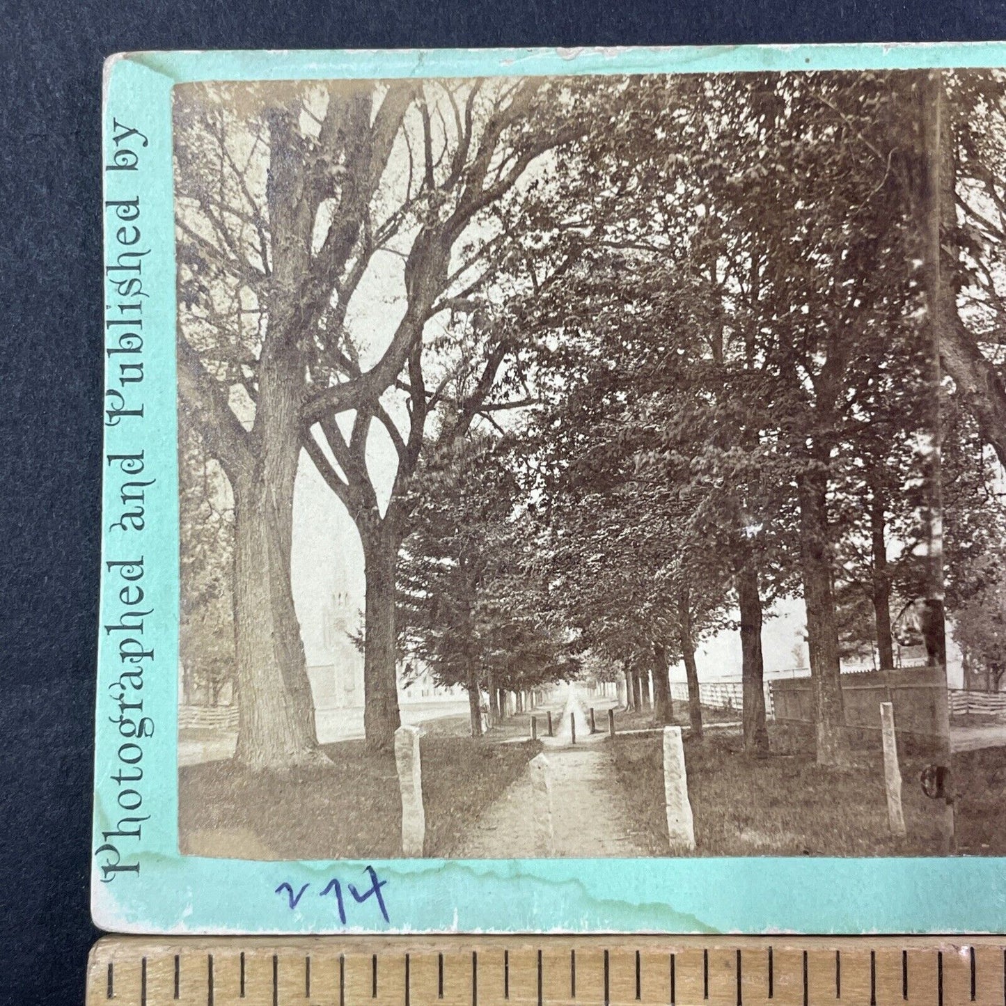 Orford New Hampshire Mall View Stereoview CB Cheney Photo Antique c1860s X867