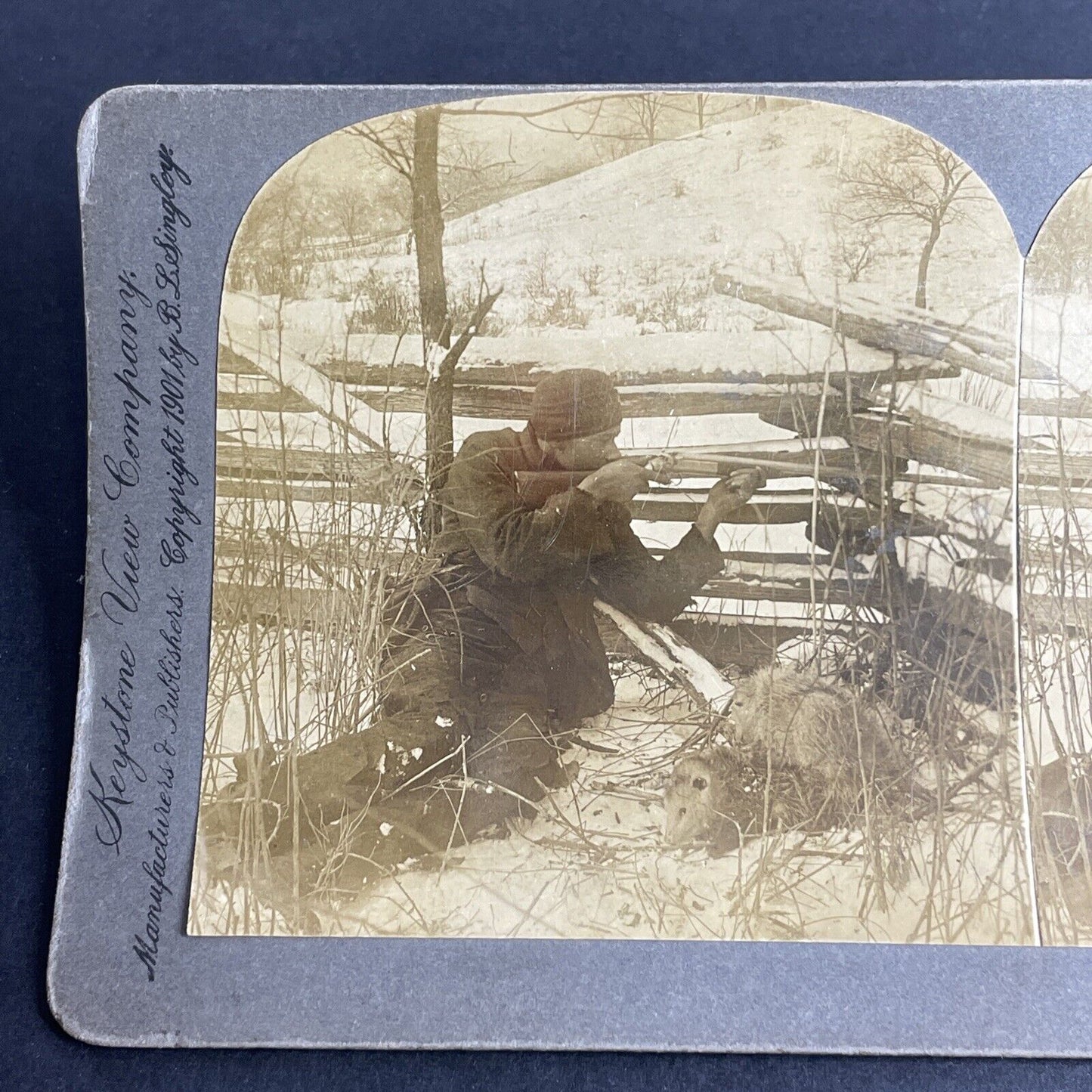 Antique 1901 Hunting Woodchucks & Possums For Dinner Stereoview Photo Card P1029