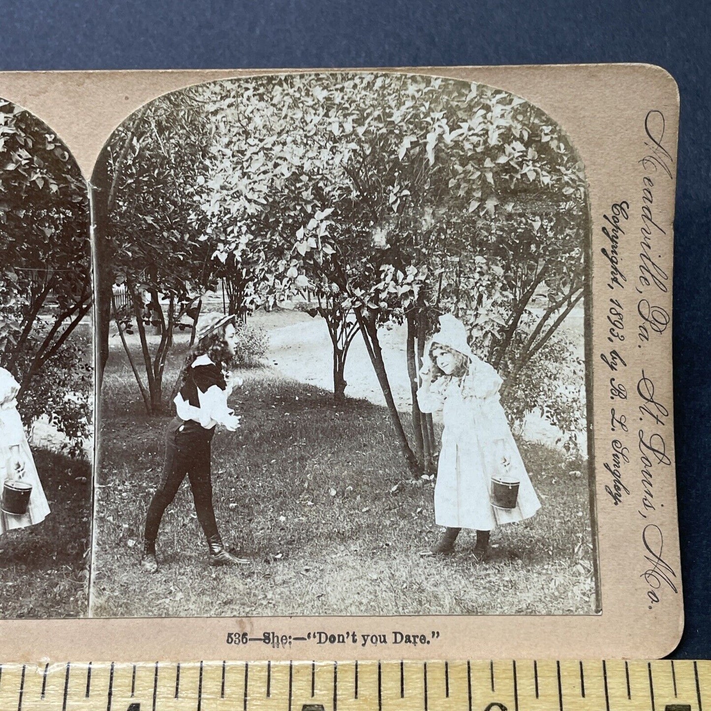 Antique 1893 Boy Throws Cherries At Girl Stereoview Photo Card P2716