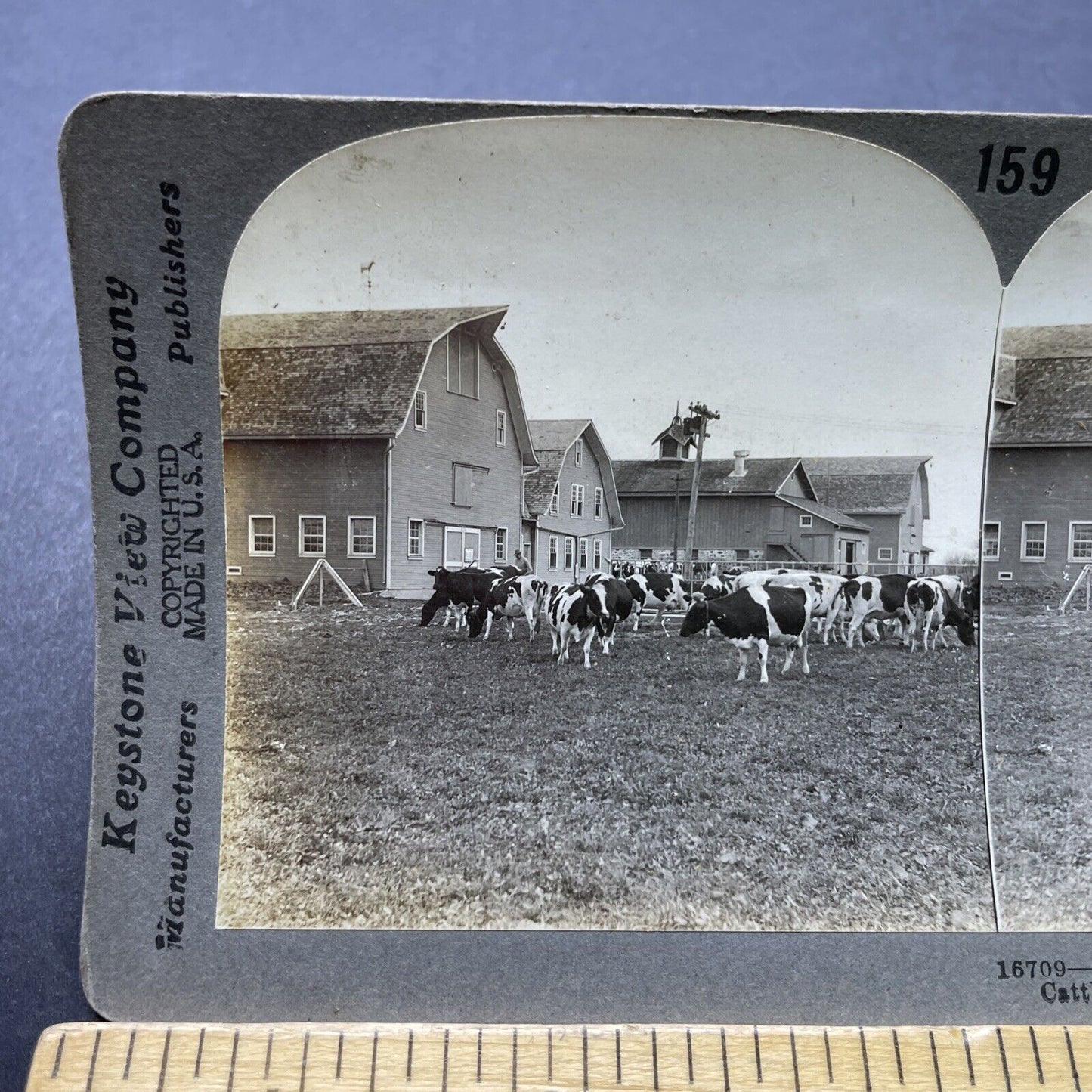 Antique 1910s County Road G Dairy Farm Lake Mills WI Photo Card P2470