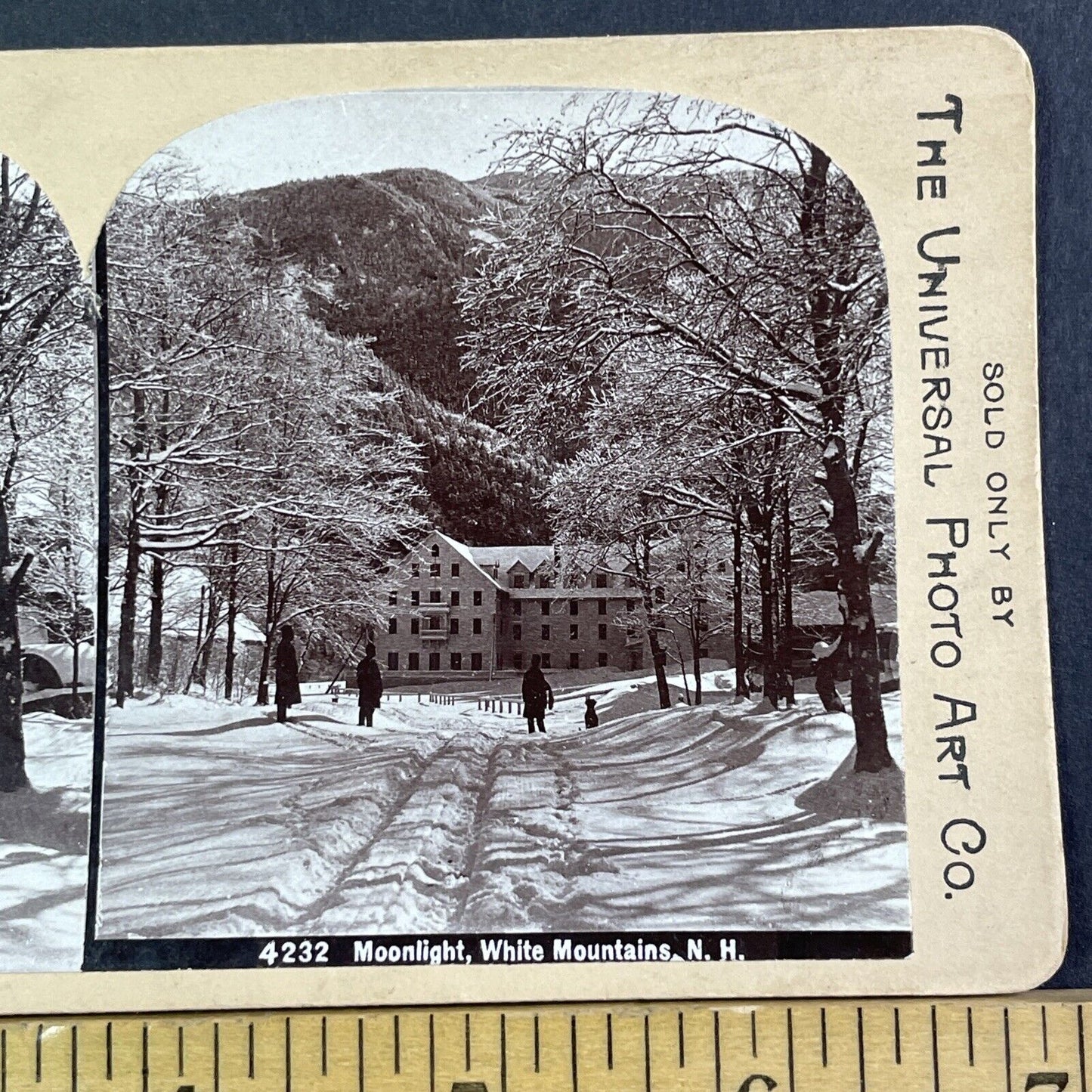 Franconia New Hampshire The Profile House Stereoview Antique c1897 X3537