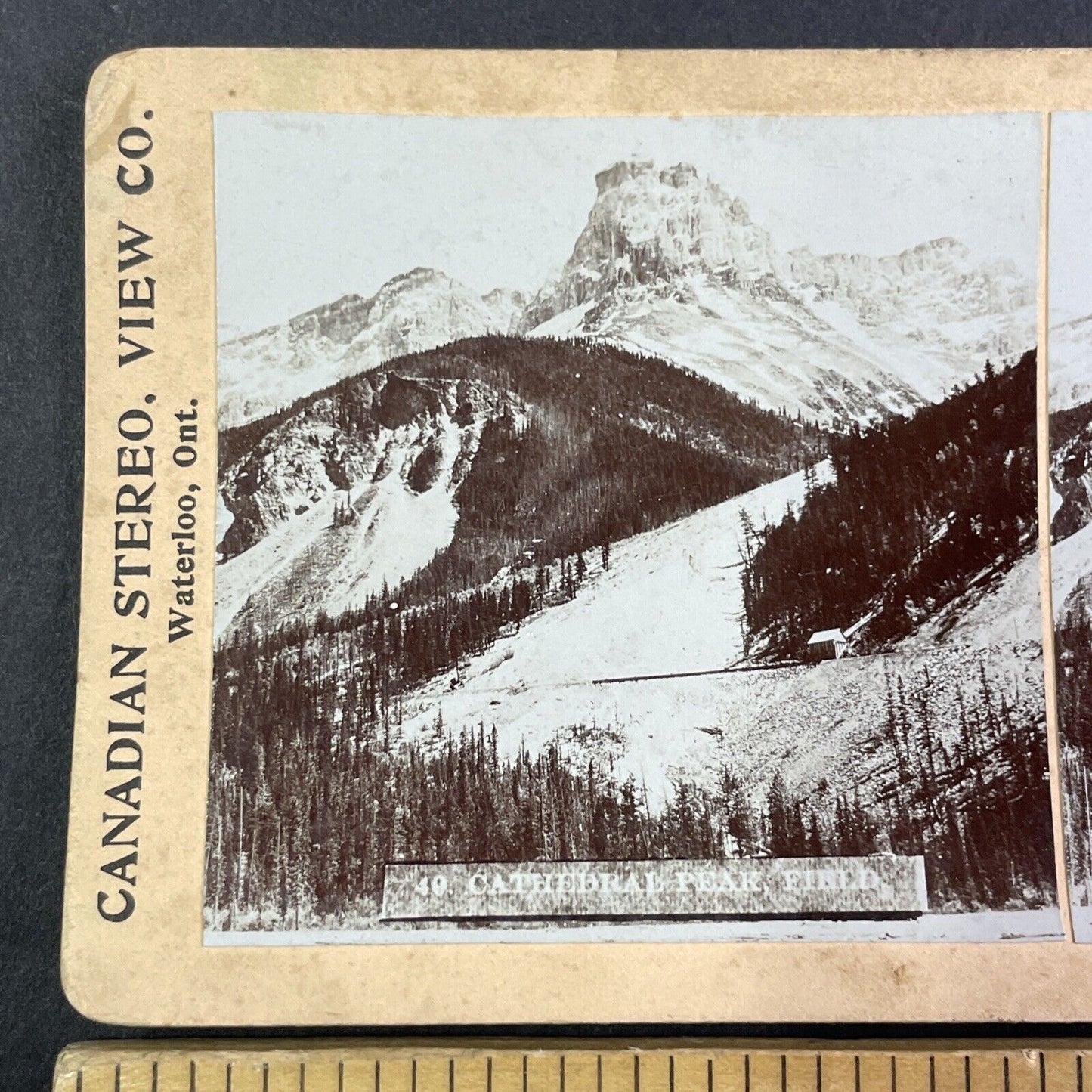 Cathedral Peak in Field British Columbia Stereoview CPR Rail Views c1899 Y2111