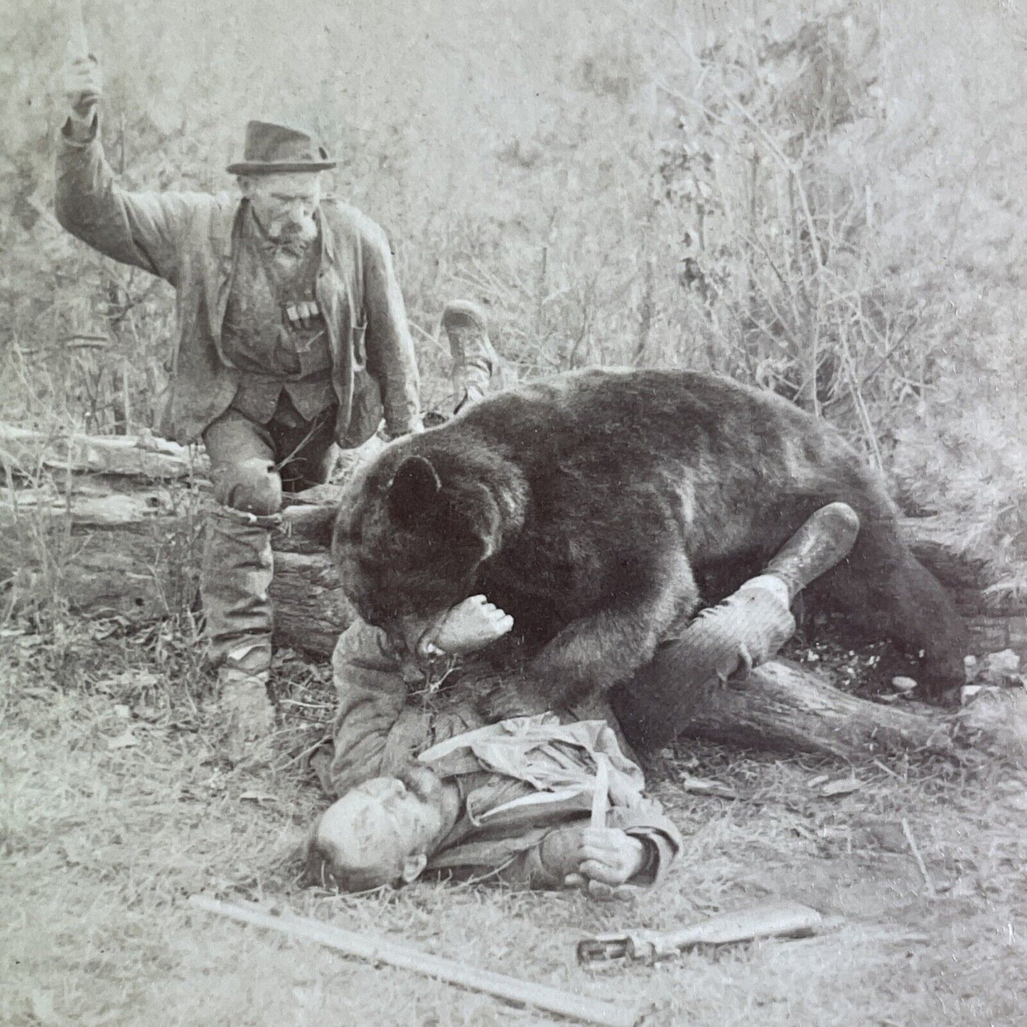 Wild Bear Attacking A Man Stereoview George Barker Antique c1893 Y1217