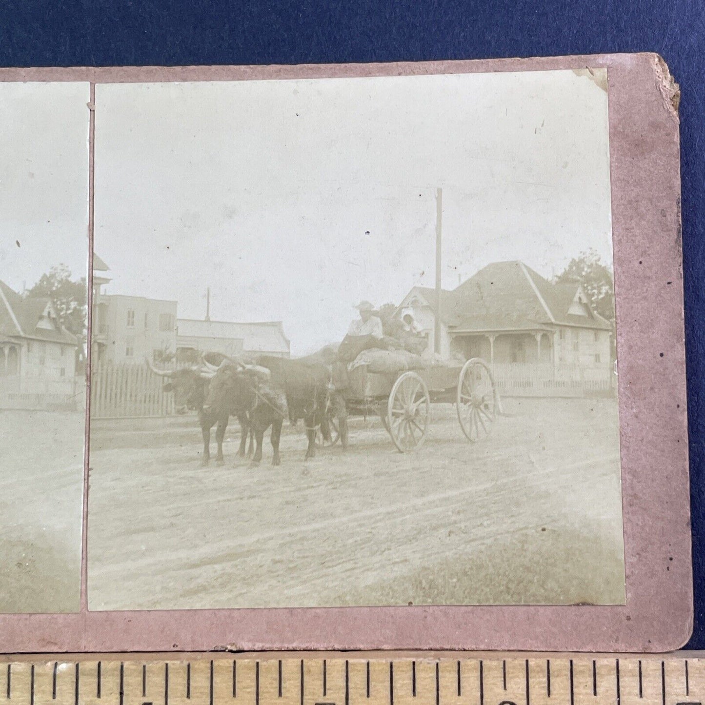 African American Settlers In Ox Wagon Stereoview Antique c1890 X1809