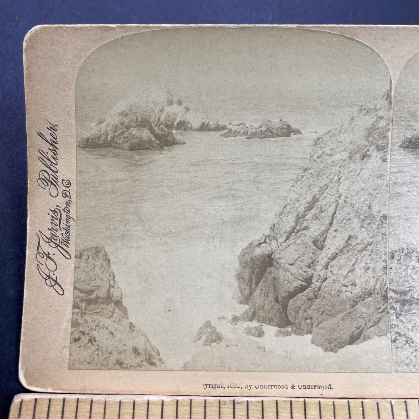 Antique 1892 Seal Rocks San Francisco California Stereoview Photo Card P3571