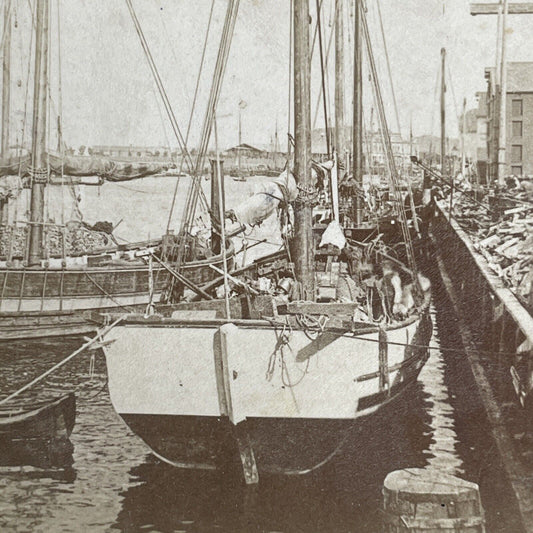 Antique 1898 Trondheim Norway Harbor Coastal Port Stereoview Photo Card PC979