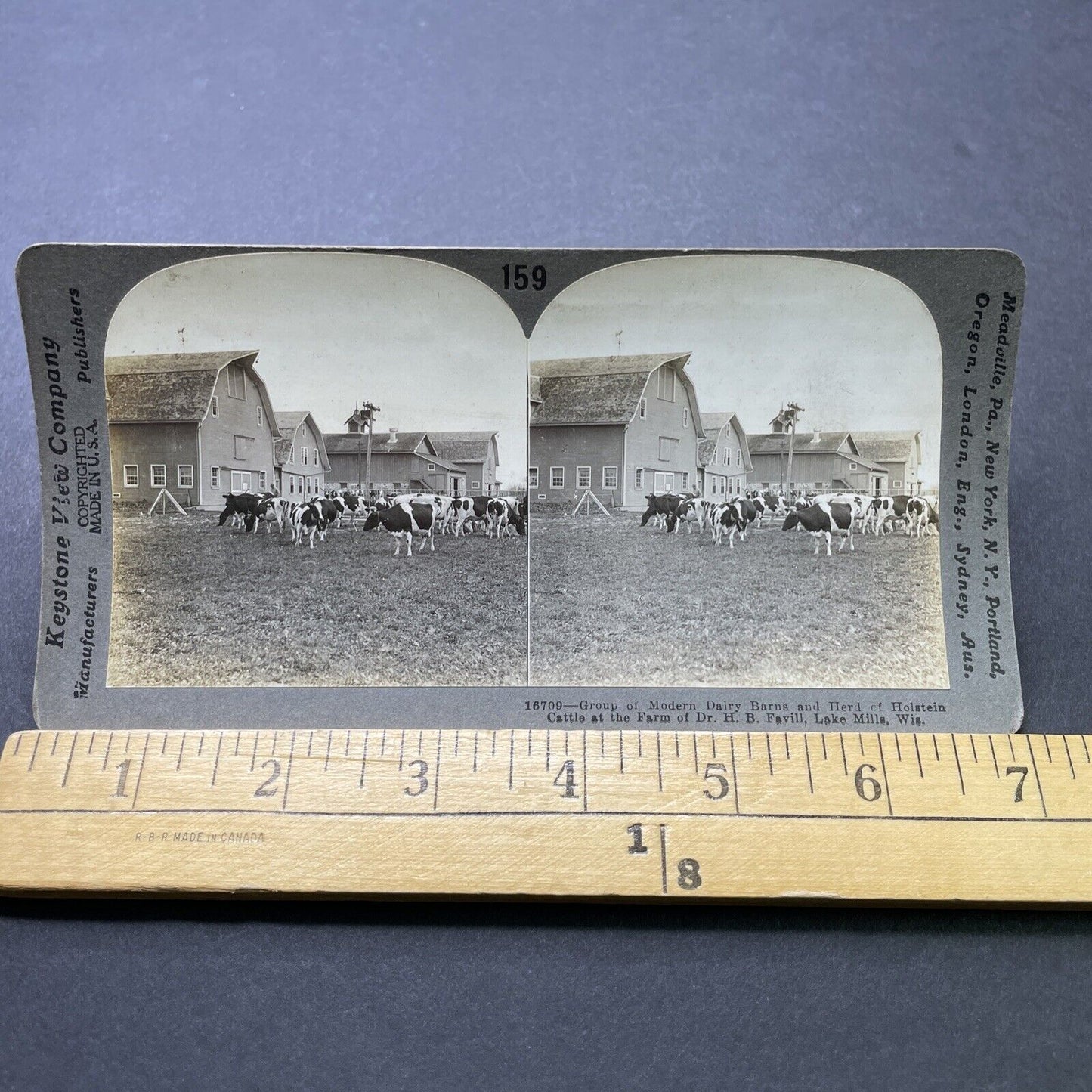 Antique 1910s County Road G Dairy Farm Lake Mills WI Photo Card P2470