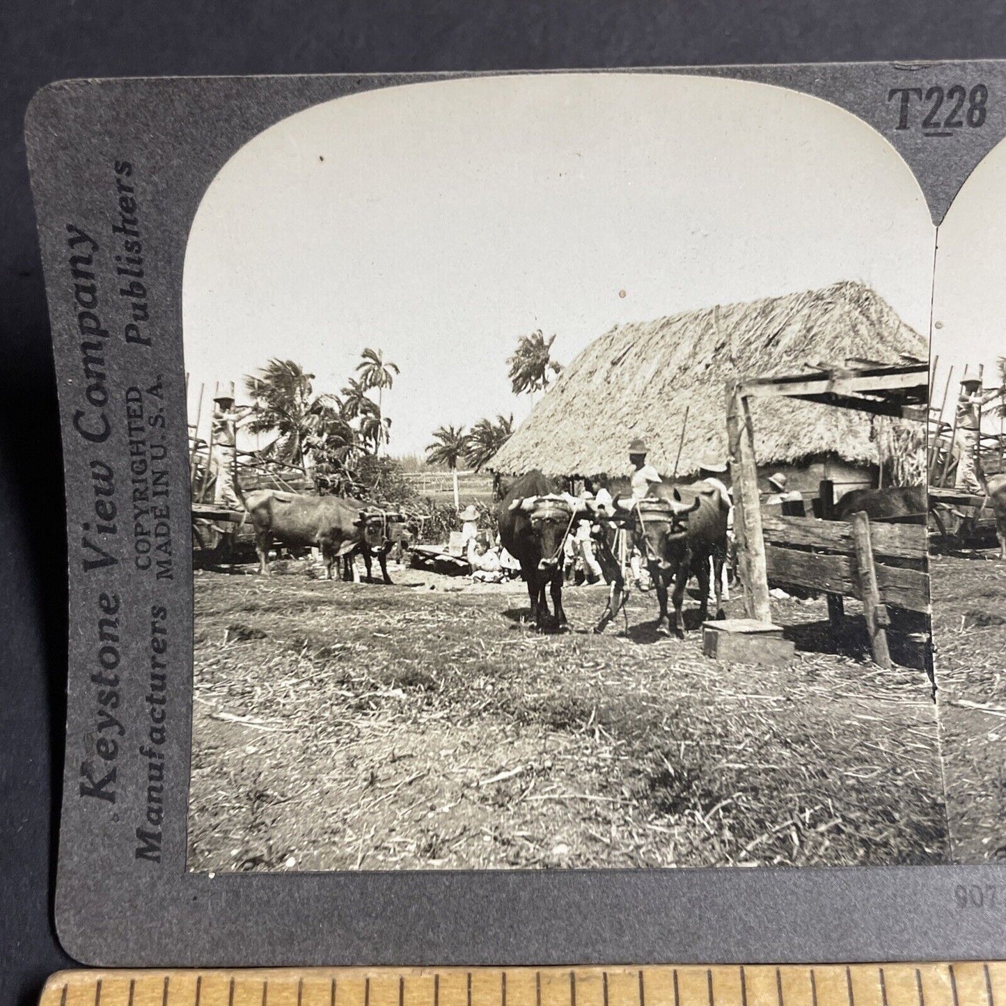 Antique 1910s Farmers Plow Fields Havana Cuba Stereoview Photo Card P4212