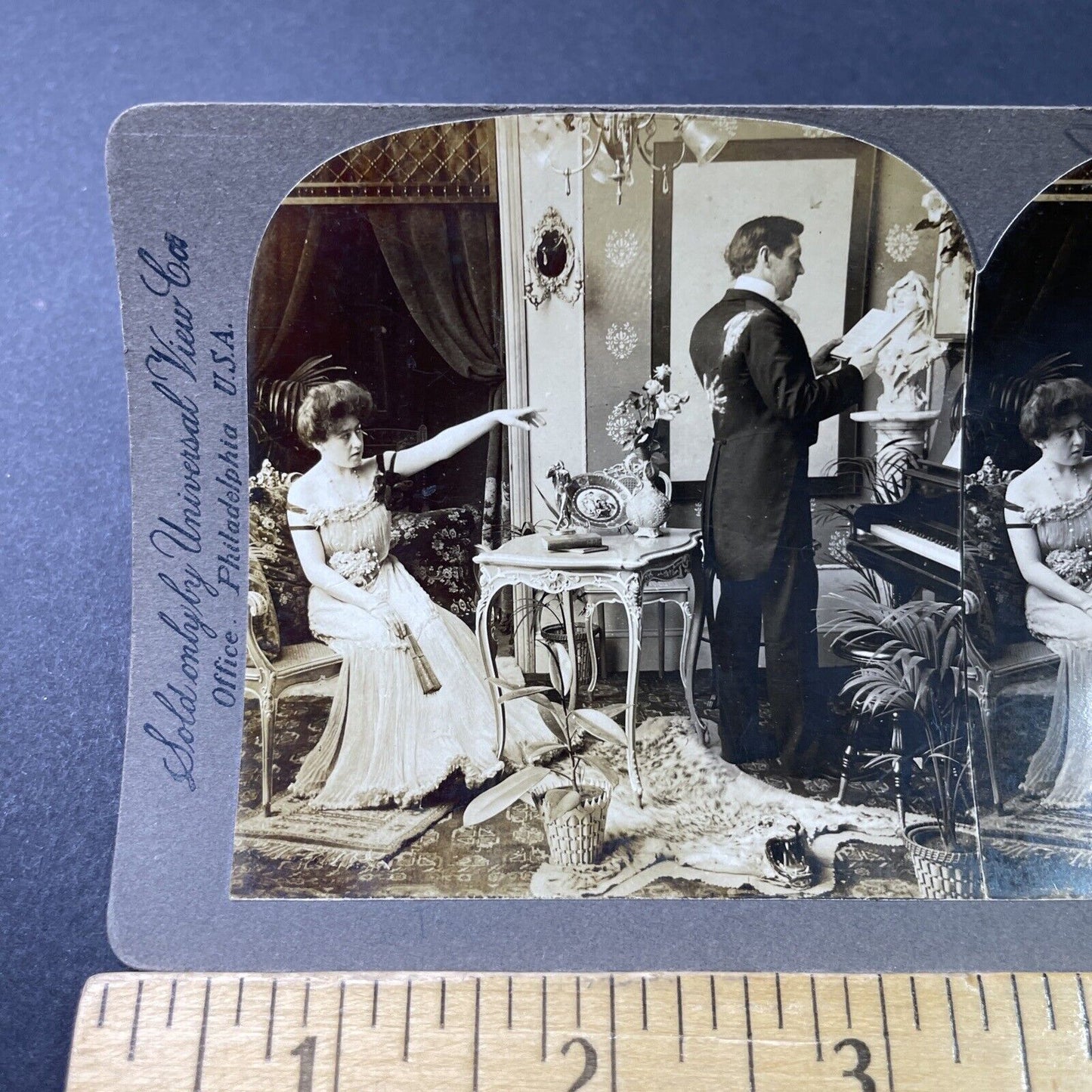 Antique 1902 Leopard Or Cheetah Skin Rug In Parlor Stereoview Photo Card P3016