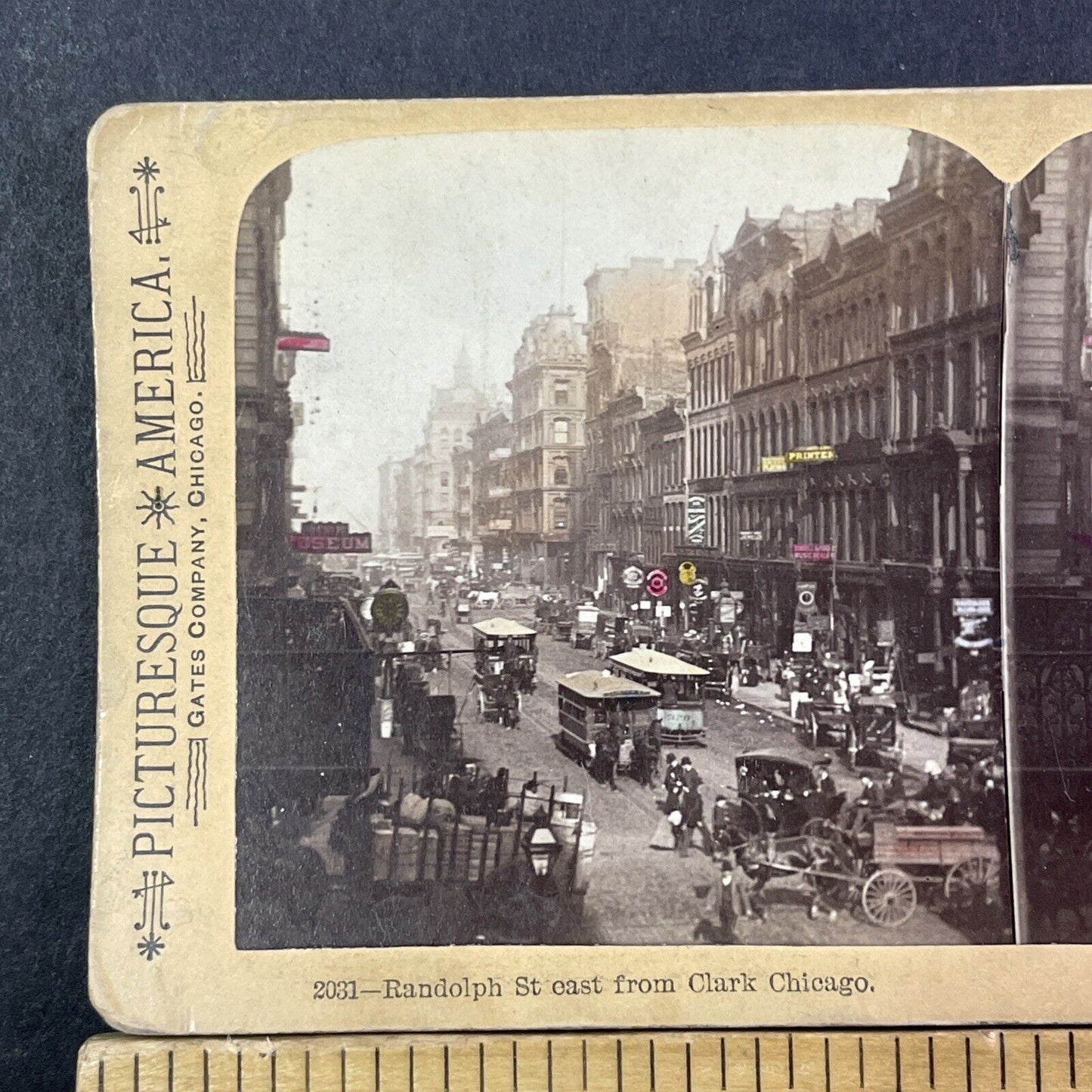 Randolph Street Chicago Stereoview Downtown City View Antique c1893 X2582