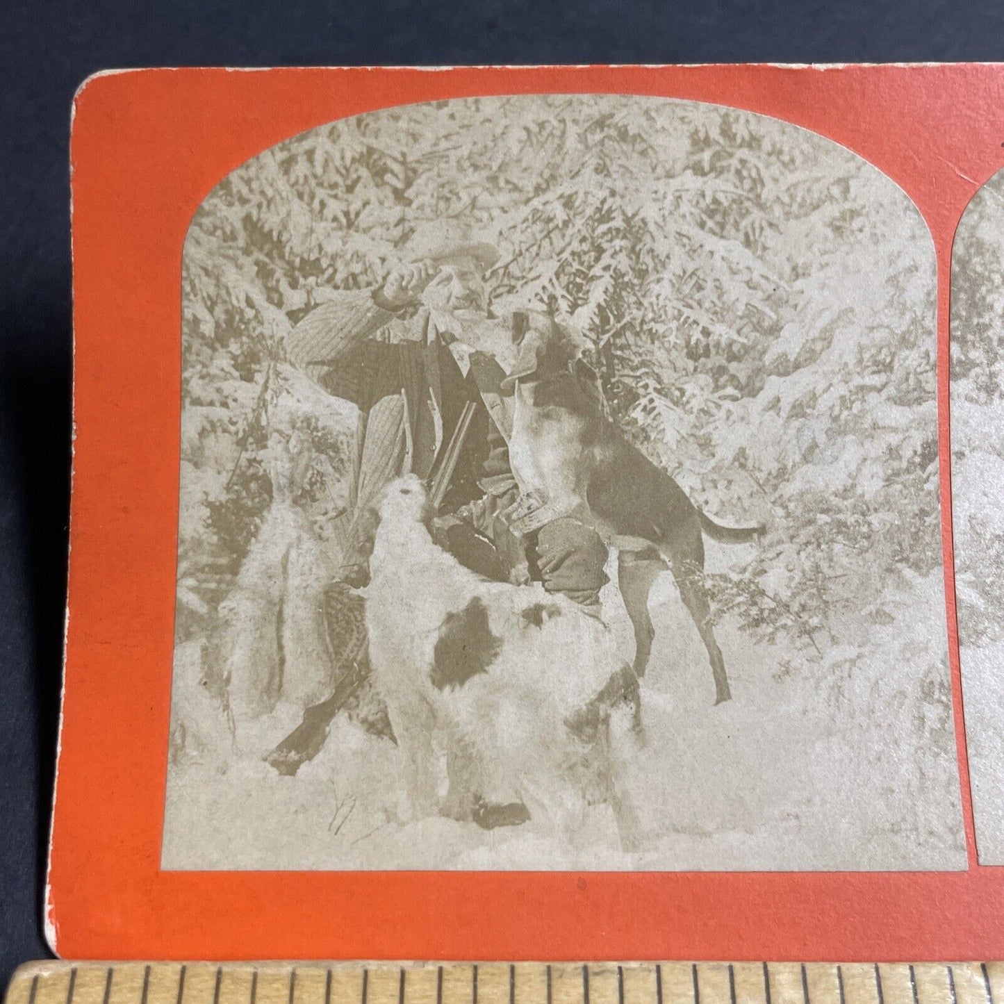 Antique 1890 Benjamin W Kilburn And His Hunting Dogs Stereoview Photo Card P4682