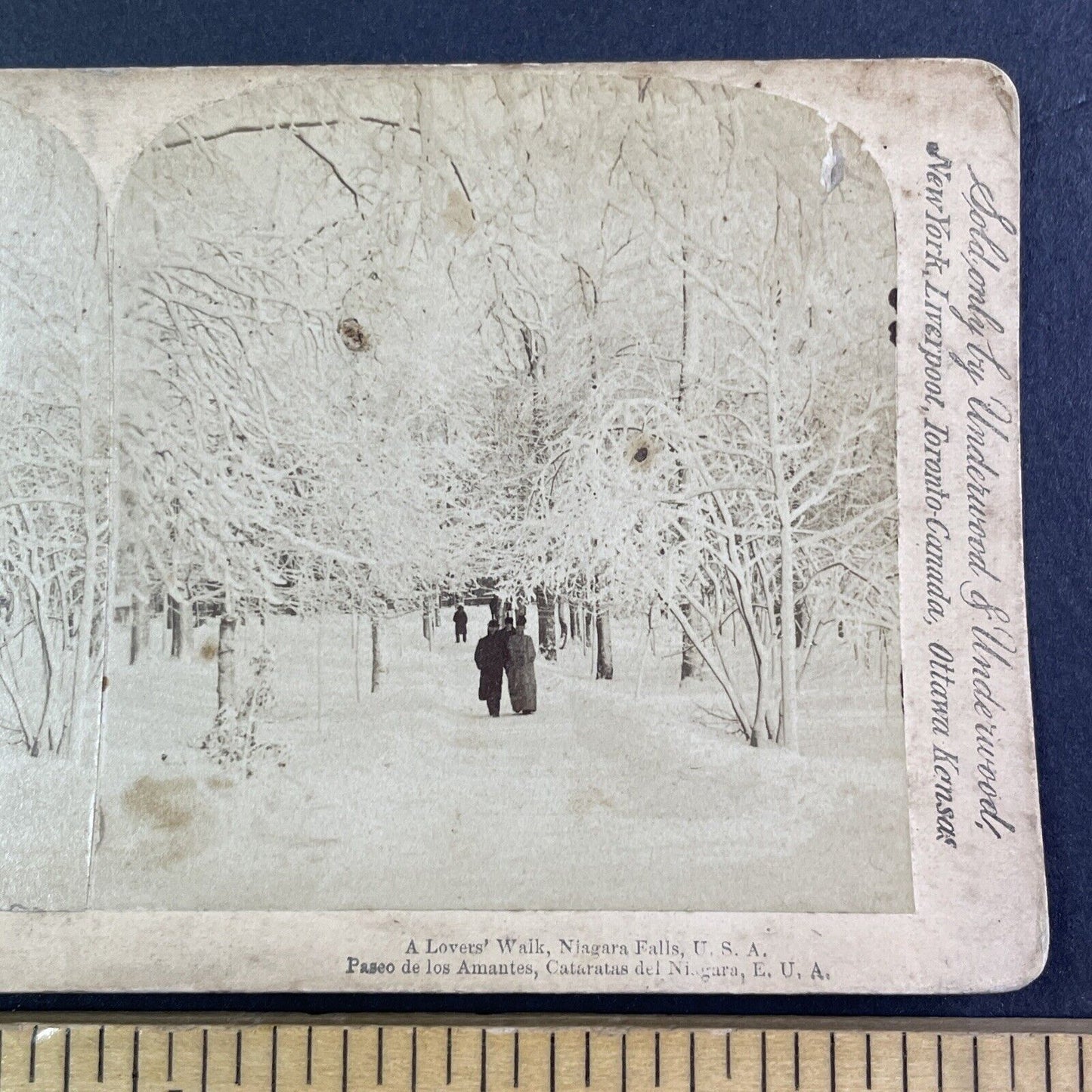 Winter Walk Through Prospect Park Stereoview Niagara Falls Antique c1893 Y2752