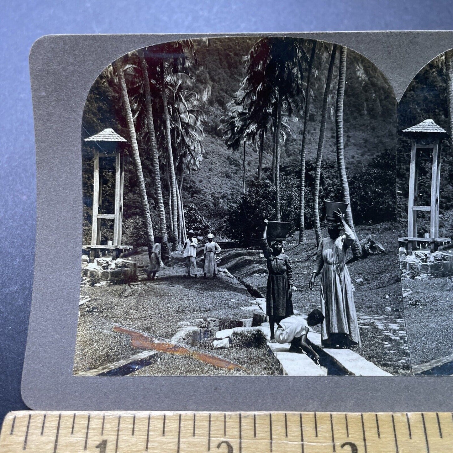 Antique 1890s Irrigation Trenches In Sudan Stereoview Photo Card P4008