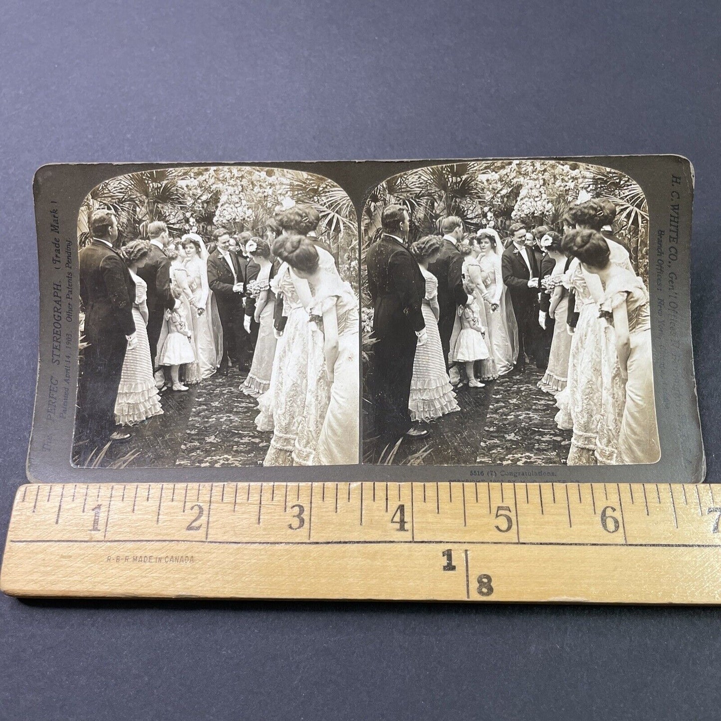 Antique 1902 Bride & Groom Congratulated By Guests Stereoview Photo Card P2948