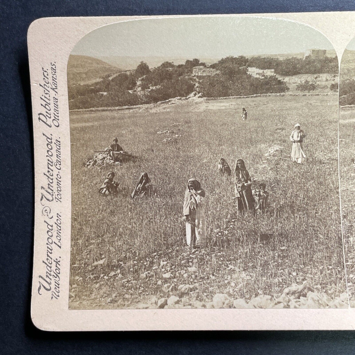 Antique 1900 Village Of Bethel Israel Palestine Stereoview Photo Card P1383