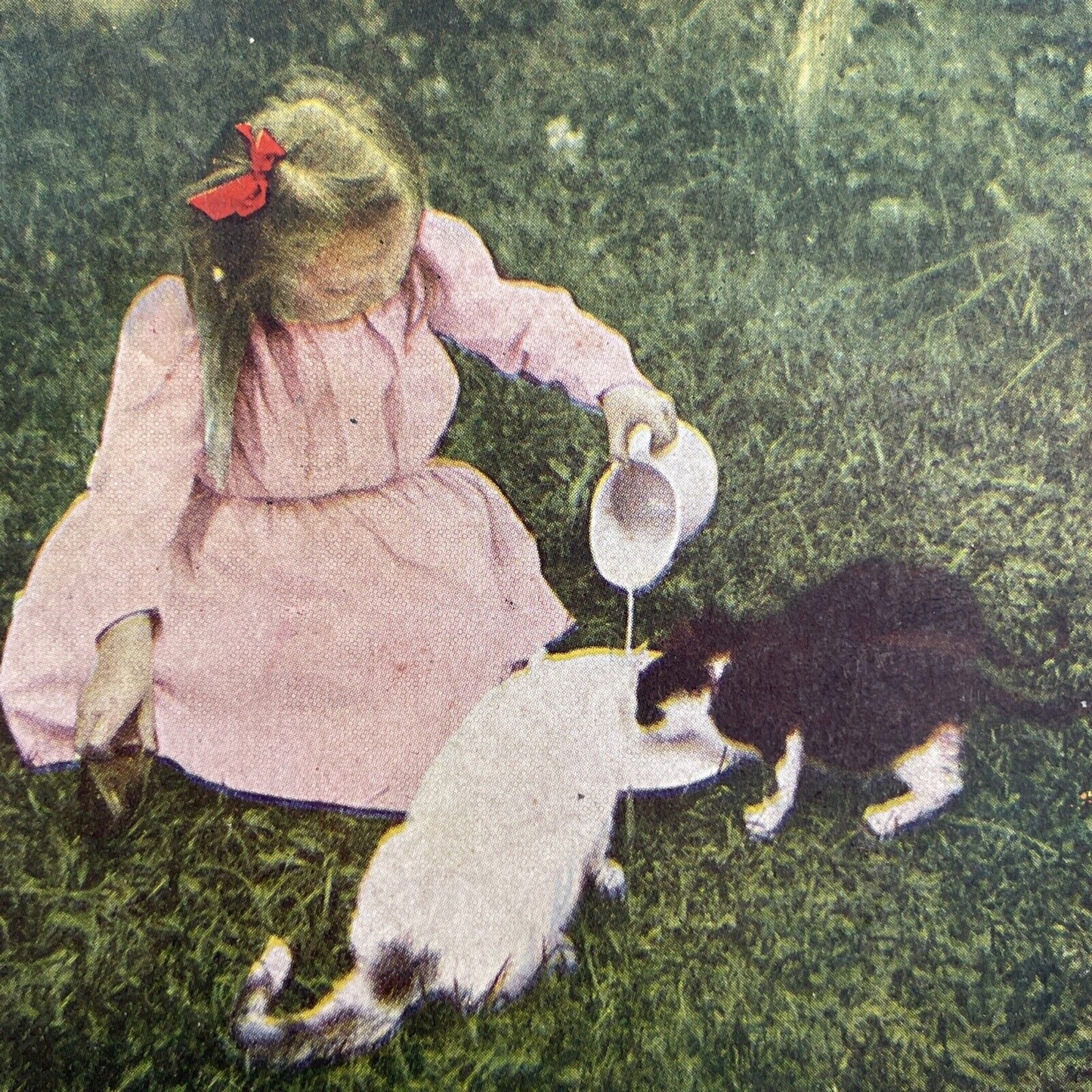 Antique 1905 Young Girl Giving Cats Some Milk Stereoview Photo Card P580-055