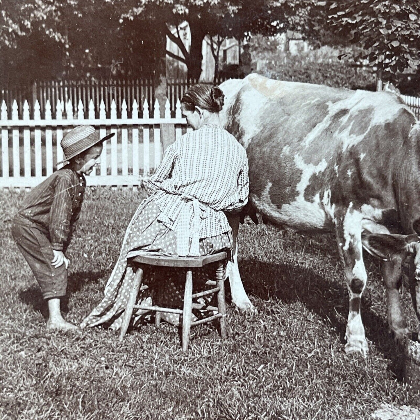 Antique 1893 Woman Squirts Milk Onto Boy's Face Stereoview Photo Card P3121