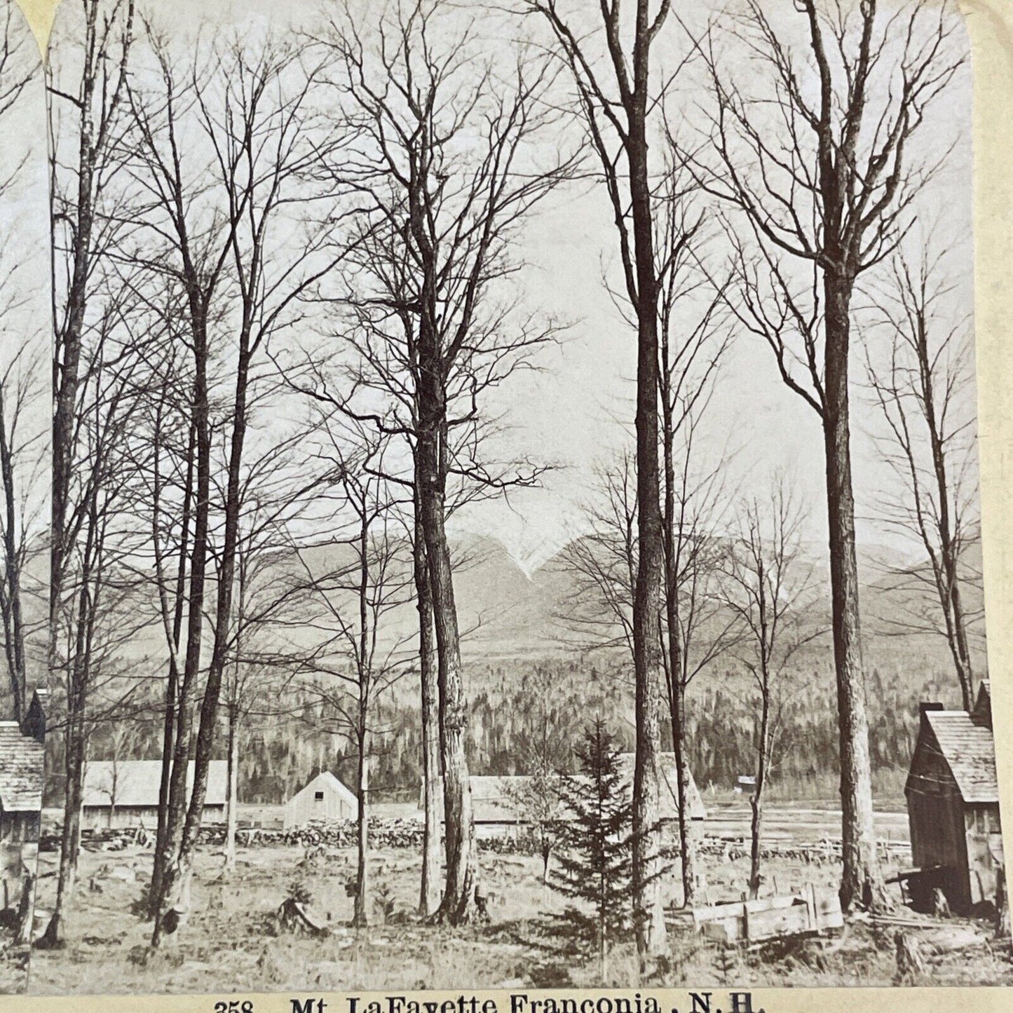 Mount Lafayette New Hampshire Stereoview Homestead View Antique c1870s Y1469