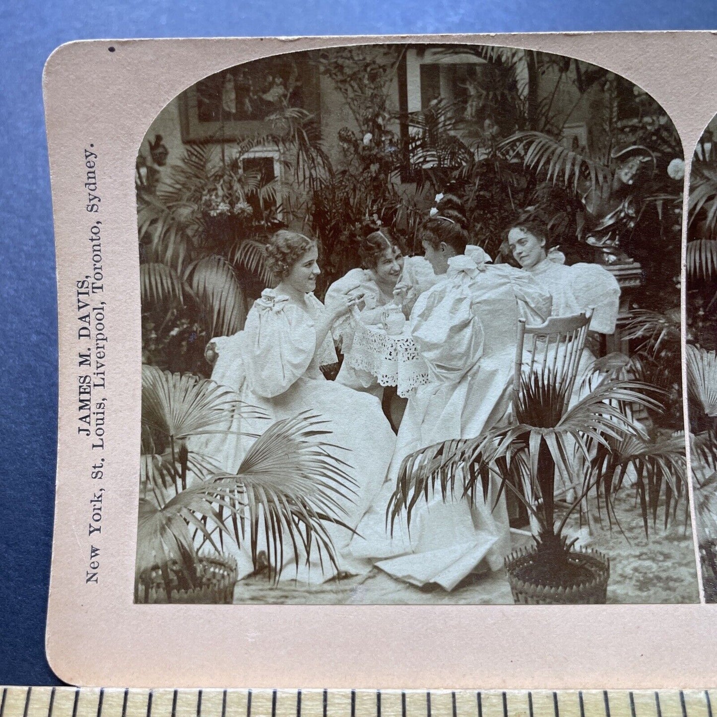 Antique 1897 Wealthy Women Gossip Over High Tea Stereoview Photo Card P1981