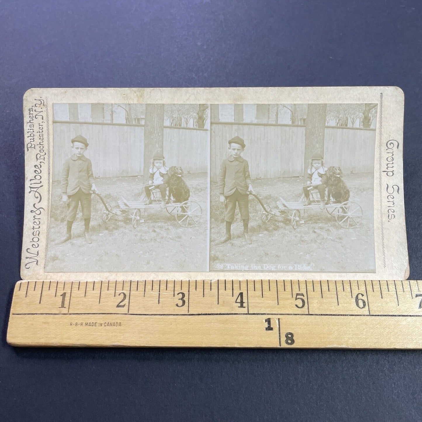 Antique 1870s Boy Pulls A Dog On A Wagon Cart Stereoview Photo Card P4111