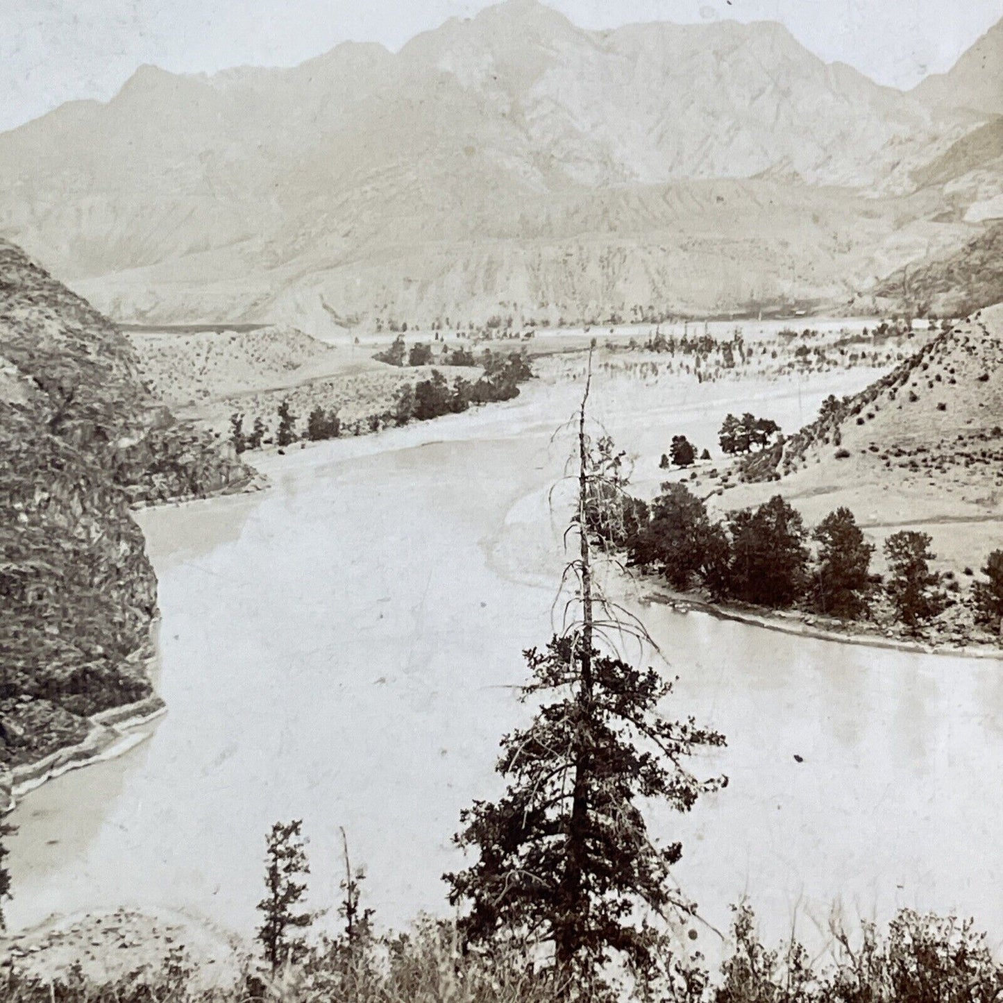 Katun River Valley Altai Russia Stereoview IR Tomashkevich Antique c1896 X2628