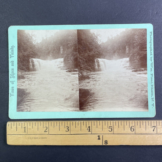 Waterfall In Ithaca Gorge New York Stereoview William Frear Antique c1880 Y1199