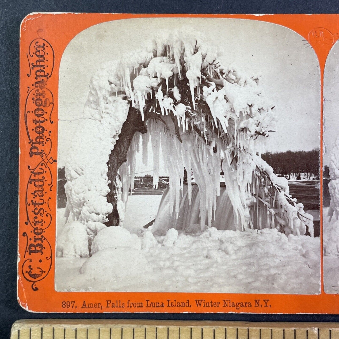 Niagara Falls Tree Frozen to Ground Stereoview Charles Bierstadt c1870s Y2243