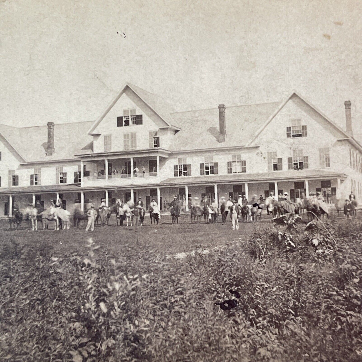 Expedition Horses at Crawford House Stereoview New Hampshire Antique c1870s Y949