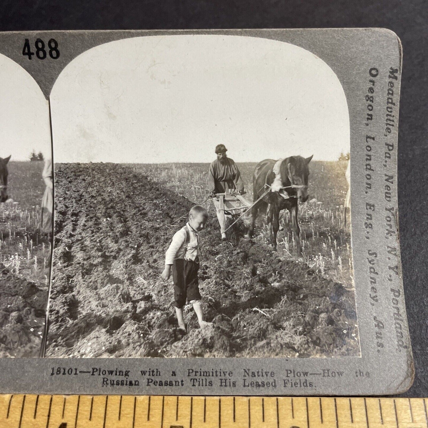 Antique 1910s Man & Boy Plowing Fields In Ukraine Stereoview Photo Card P4243